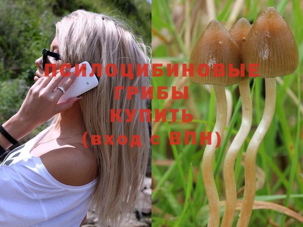 мяу мяу мука Белокуриха