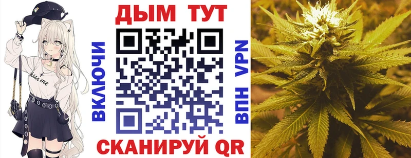 Шишки марихуана SATIVA & INDICA  МЕГА ссылки  Кимры 